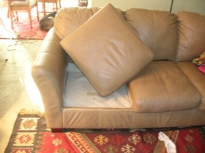 Couch is Getting Lower and Softer